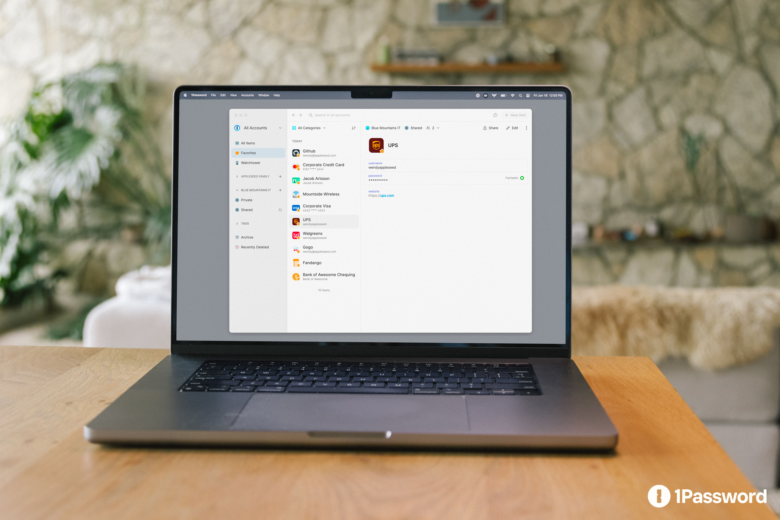 Publisher photo of 1Password vaults, saved items and login details on a Mac laptop
